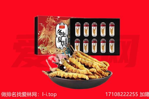 秀山县回收虫草.jpg